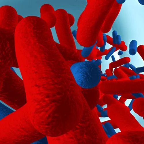 Μιτοχόνδια: Οι ιδιότητές τους με μια ματιά