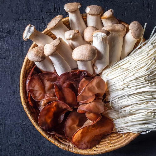 Μανιτάρια: Τα 7 κορυφαία είδη για να τα μαγειρέψεις!