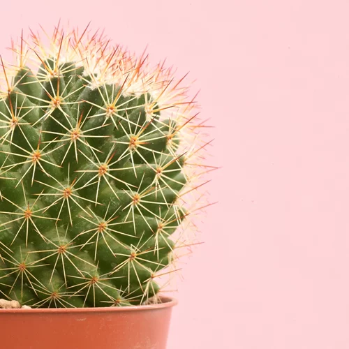 Aιμορροΐδες: 7 αποτελεσματικοί τρόποι που μειώνουν τον πόνο