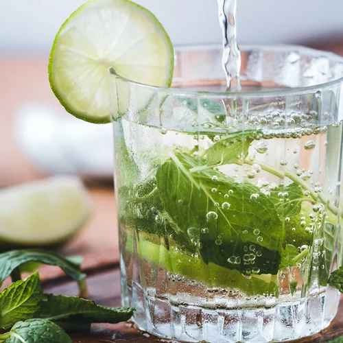 Οι δροσιστικές ιδιότητες των βοτάνων: Ποια να προτιμήσεις τις ζεστές μέρες;