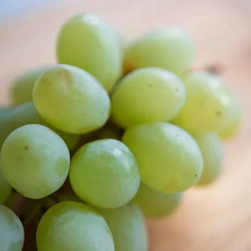 Το κόλπο για να μείνουν τα σταφύλια τραγανά και φρέσκα για μέρες – χωρίς να χαλάνε