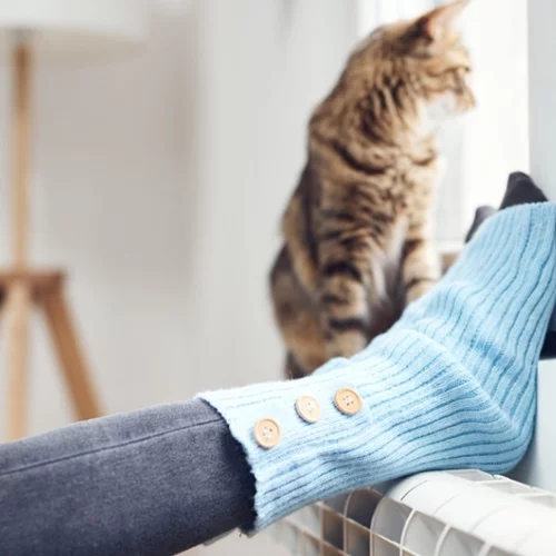 Έτσι θα ζεσταθούμε -χωρίς κόστος- όταν κάνει παγωνιά!