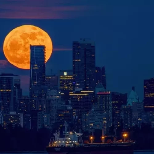 Εκρηκτική πανσέληνος στον Λέοντα στις 12 Φεβρουαρίου 2025: 4 ζώδια θα πρέπει να προσέξουν