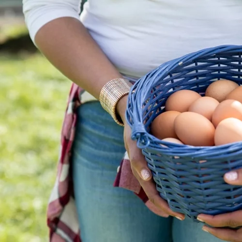 Αν τρώμε κάθε μέρα αυγό: Τι μπορεί να συμβεί στο σώμα μας
