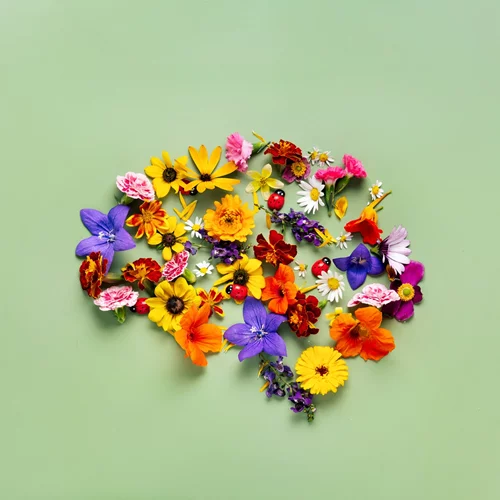 Πώς να κάνεις τον εγκέφαλό σου 10 χρόνια νεότερο