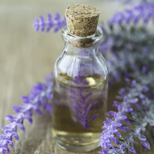 Λεβαντέλαιο στο σπίτι: Φτιάξ’ το με 3 βήματα και χαλάρωσε φυσικά