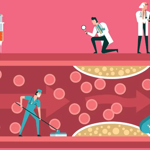 Τι είναι η θρομβοφιλία και πότε πρέπει να ξέρουμε εάν έχουμε προδιάθεση