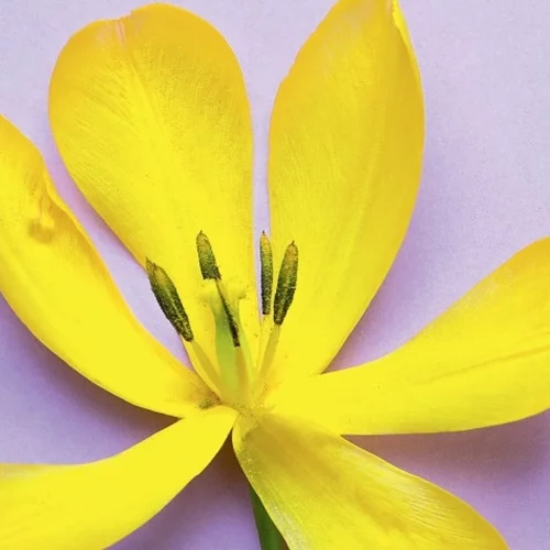 Τι προσφέρει το Τμήμα Κλιμακτηρίου και Εμμηνόπαυσης του Αρεταίειου Νοσοκομείου