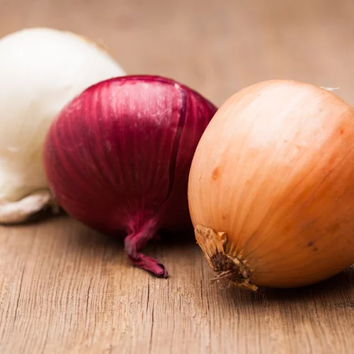 Κίτρινα, κόκκινα και λευκά κρεμμύδια: Σε τι διαφέρουν;