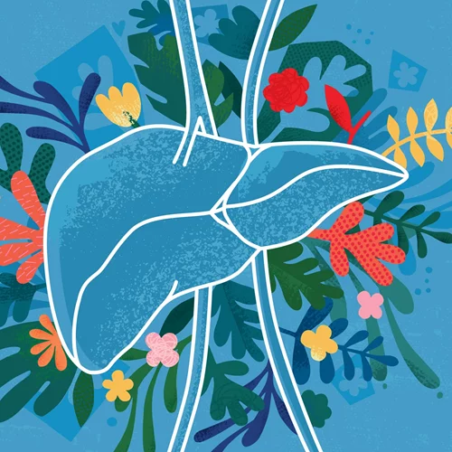 Συκώτι | 5 σημάδια που δείχνουν ότι κάτι δεν πάει καλά