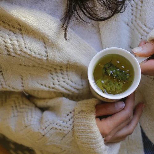 "Θηλυκά" βότανα: Η ευεργετική δύναμή τους στον κύκλο σου