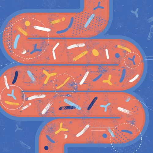 Παίρνεις προβιοτικά; 6 σημάδια που δείχνουν ότι κάνουν δουλίτσα!