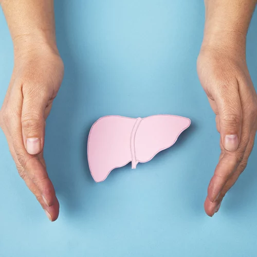 Γαϊδουράγκαθο, πικραλίδα και αγκινάρα: Αν η ηπατική υγεία "φώναζε" για βοήθεια, θα έλεγε (και) αυτές τις λέξεις