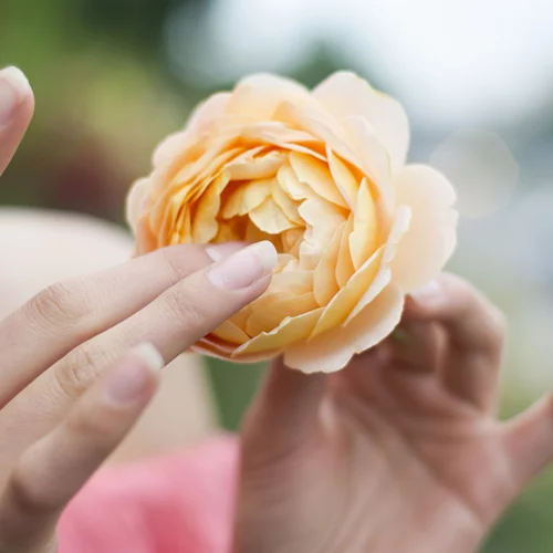 Πόνος περιόδου ή κάτι πιο σοβαρό; Τι πρέπει να ξέρεις για την ενδομητρίωση