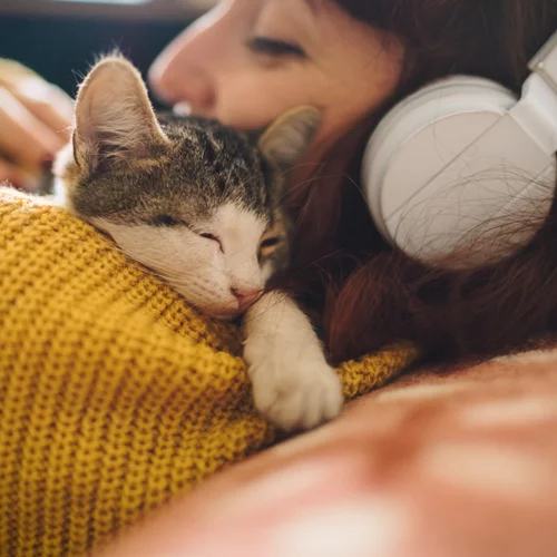 Spotify Wrapped 2024: Γιατί μας αρέσει να το μοιραζόμαστε στα social media;