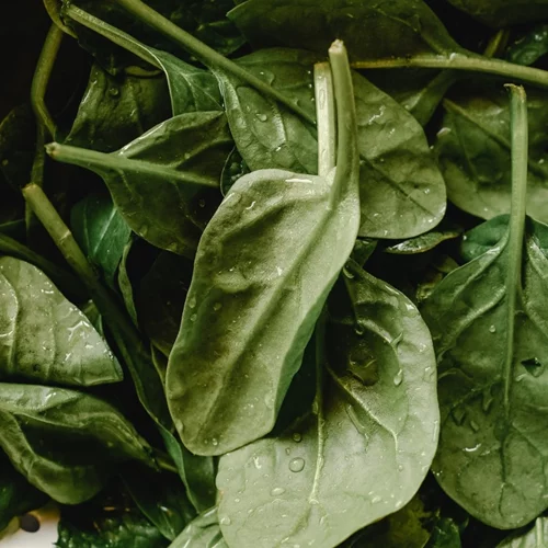 10 τροφές που προλαμβάνουν την έλλειψη βιταμινών του φθινοπώρου