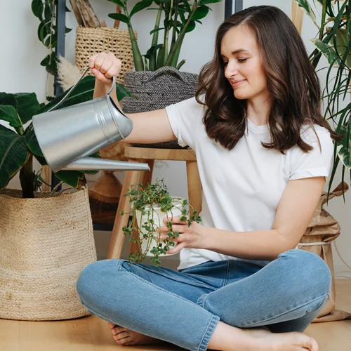 5 φυτά που εξουδετερώνουν τις τοξίνες στο σπίτι