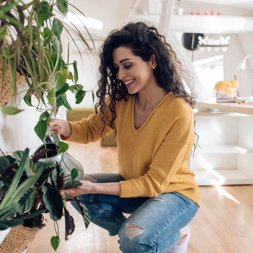 Back up Plant: Τα λάθη που δεν πρέπει να κάνουμε όταν φέρνουμε τα φυτά μας μέσα στο σπίτι για τον χειμώνα