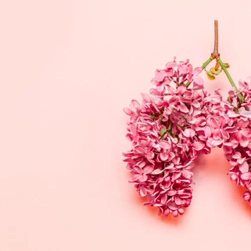 Χρόνια αποφρακτική πνευμονοπάθεια: Τα δεδομένα της νόσου