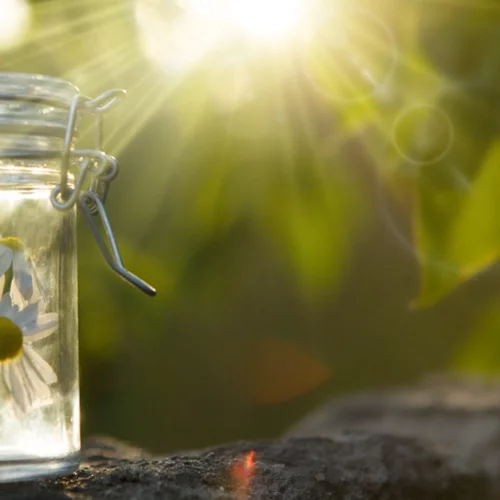 Ανθοϊάματα Bach: Μία εναλλακτική θεραπεία για θλίψη, άγχος, πόνο