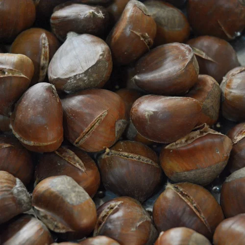 Κάστανα: Δες έναν τρόπο για να τα ξεφλουδίσεις πανεύκολα!