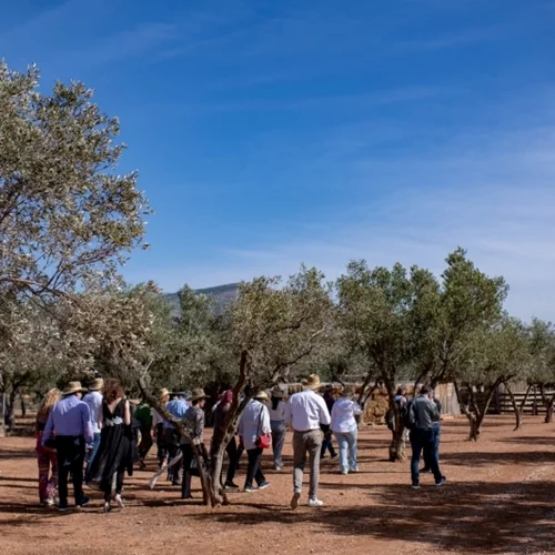 Sobi: Η εταιρεία που χαρίζει "σπάνια" δύναμη σε "σπάνιους" ανθρώπους