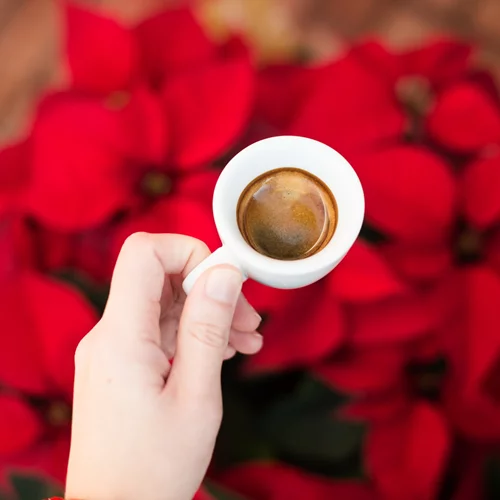 9 φάρμακα που δεν πρέπει ποτέ να παίρνεις με τον καφέ σου