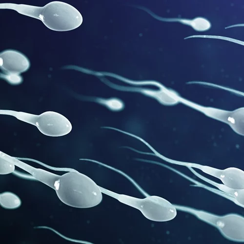 Υπογονιμότητα γένους… αρσενικού | Η νέα καμπάνια της Institute of life – ΙΑΣΩ με αφορμή τον Μήνα Γονιμότητας