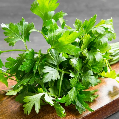 Πότε να ΜΗΝ τρώμε μαϊντανό: Οι "παρενέργειες" που πρέπει να γνωρίζουμε