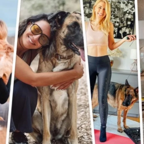 Ευγενία Σαμαρά, Ιωάννα Μαλέσκου, Φάνης Παυλόπουλος & Μυρτώ Κάζη βρήκαν τον δικό τους... petchef!