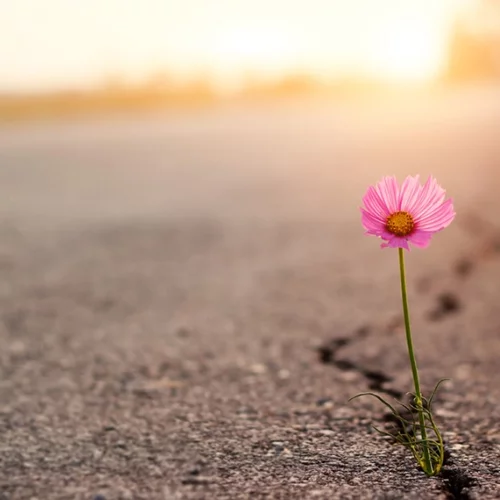 Τι είναι η ψυχική ανθεκτικότητα και γιατί όσοι την κατακτήσουν θα ζουν καλύτερα