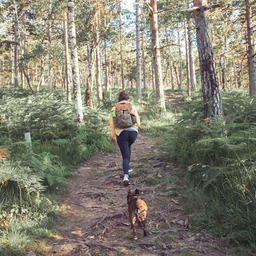 Περπάτημα: Ποιος είναι ο πιο αποτελεσματικός τρόπος για να μειώσεις το επίμονο λίπος