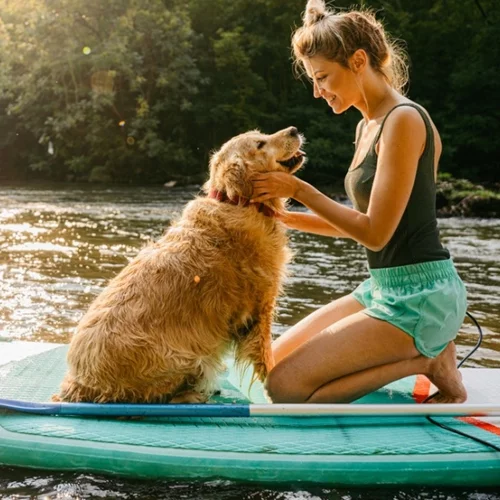 Θερμοπληξία σκύλου και γάτας: Πρόληψη και συμπτώματα