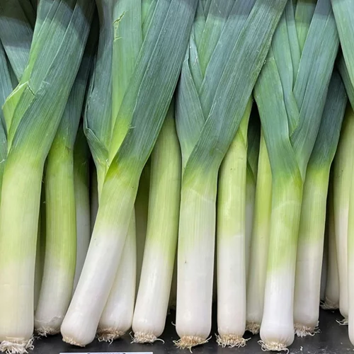 Πράσο: Το χειμερινό λαχανικό με υψηλή θρεπτική αξία – 10 οφέλη για την υγεία