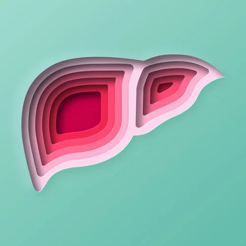 Λίπος στο συκώτι: Υποχωρεί ποτέ ή μένει για πάντα;