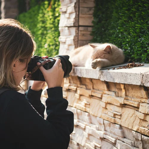 Ημερήσιες προβλέψεις 21/11: Ποια ζώδια ευνοούνται σήμερα;