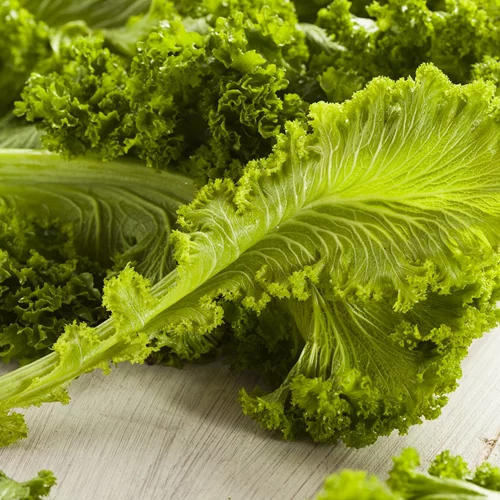 Το άγνωστο λαχανικό που δεν τρως και δεν ξέρεις τι χάνεις!