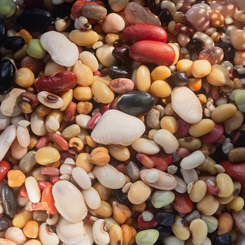 Το όσπριο που σου δίνει το διπλάσιο σίδηρο από το σπανάκι (spoiler: δεν είναι οι φακές!)