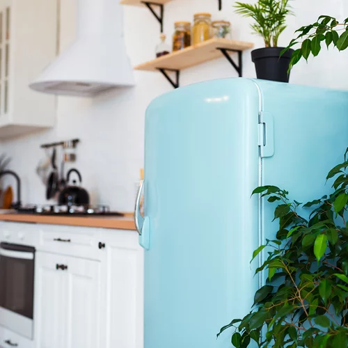 Διακοπή ρεύματος: Πόσες ώρες διατηρούνται τα τρόφιμα στο ψυγείο;