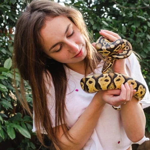 Κινδυνεύουμε στ' αλήθεια από τα φίδια στην Ελλάδα;