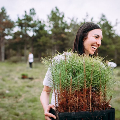 Go Green: Δενδροφύτευση 500 δέντρων στον Υμηττό