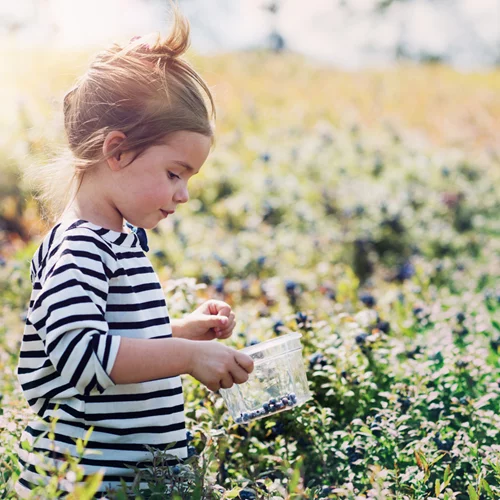 Η υγεία των παιδιών πάνω από όλα: Ο πιο εύκολος τρόπος ενίσχυσης του ανοσοποιητικού