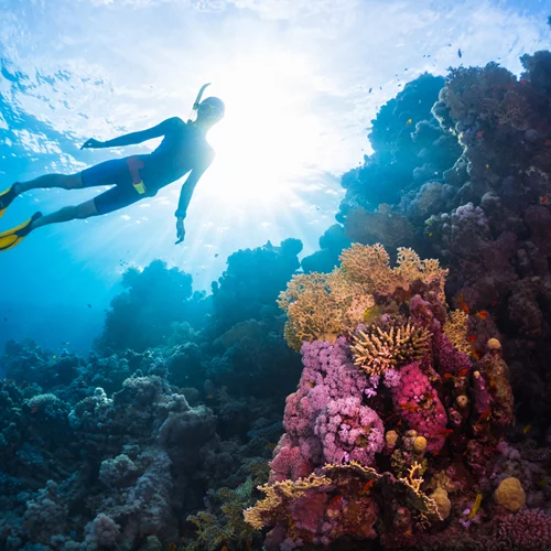 Tips για τέλειες καταδύσεις