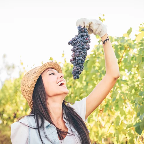 Nature's superpower: Τα φρούτα του δάσους και τα σταφύλια σύμμαχοι υγείας και της ομορφιάς