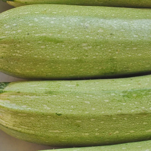 Κολοκυθάκια: Γιατί αξίζει να τα βάλεις στη διατροφή σου - Και ιδέες γευμάτων