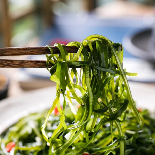 Φύκια: Τα απίστευτα οφέλη τους σύμφωνα με την επιστήμη