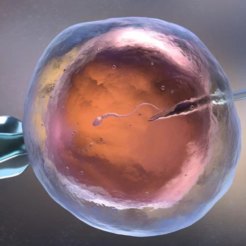 Μπορείς να μείνεις φυσιολογικά έγκυος μετά από εξωσωματική; Έρευνα απαντά!