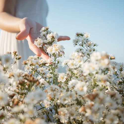 Πέντε μύθοι για το slow living, το νέο lifestyle trend