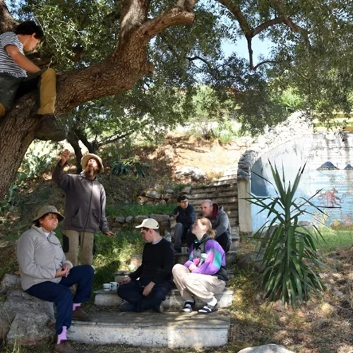 ESTIA Run: Ένας αγώνας δρόμου για όλους στο Γαλαξίδι - Στα πλαίσια του 1ου Φεστιβάλ Πολιτισμού και Αθλητισμού