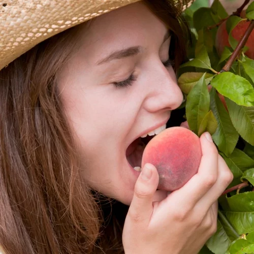 Αγαπάς τα ροδάκινα; Μάθε πώς τα φρούτα αυτά σε κάνουν πιο υγιή!